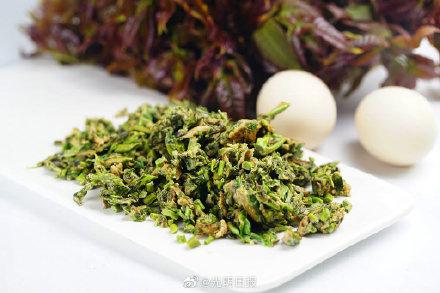 豆腐|香椿头的吃法你最爱哪种？
