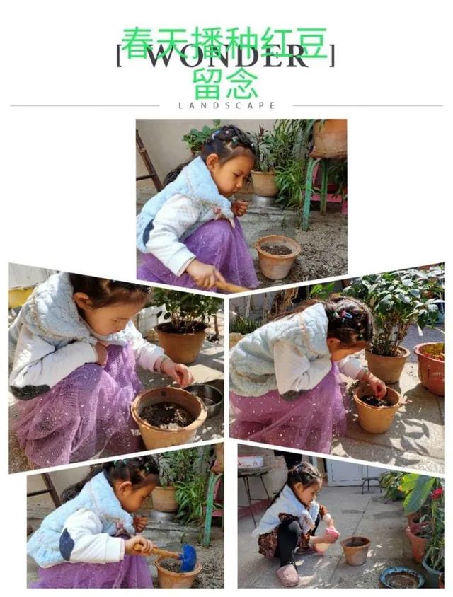 你的育儿经▲新华幼儿园：春天与爱