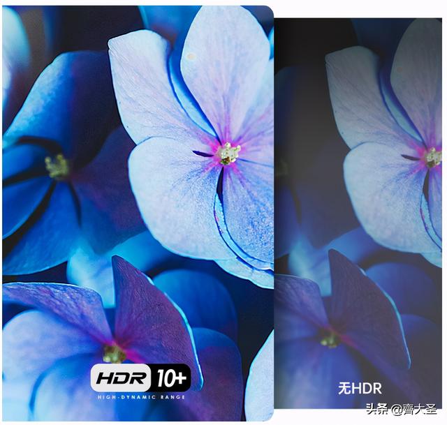 号称旗舰的坚果J10投影24小时体验：你最该关心的6个问题