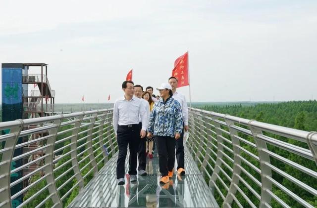 中国江苏网省文旅厅专题调研荷都金湖全域旅游发展
