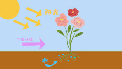 乖小孩|最难学的物化生抽象概念，我们用这些动图让孩子秒懂
