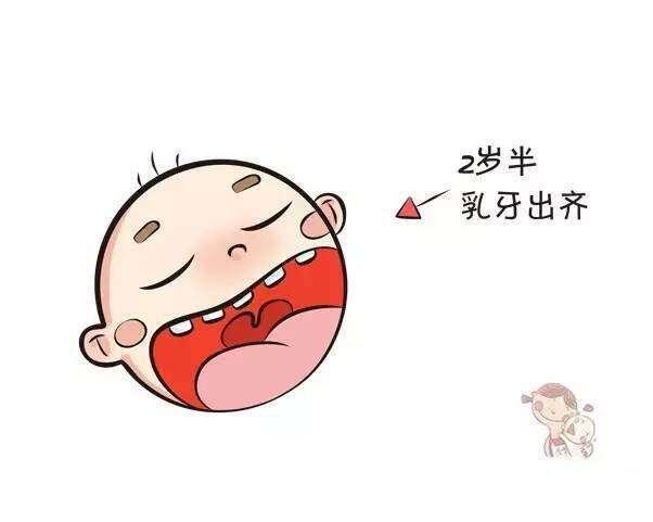 「超级宝妈」胎儿牙齿发育竟是从孕期开始？孕期做好2件事，宝宝出生牙齿好！