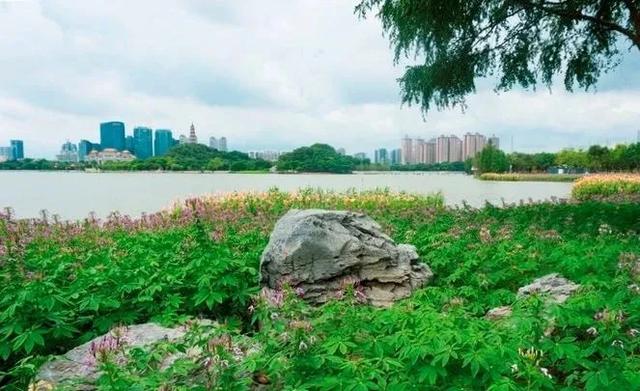 「陌颜幽梦」去过顺德才知道,好看又好吃是怎样的体验