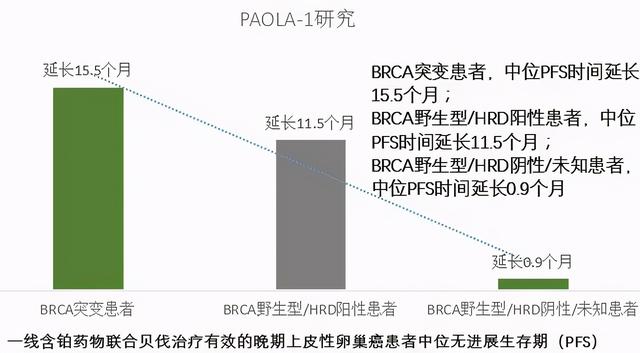 中晚期卵巢癌靶向治疗全解：一线维持治疗具体怎么做？