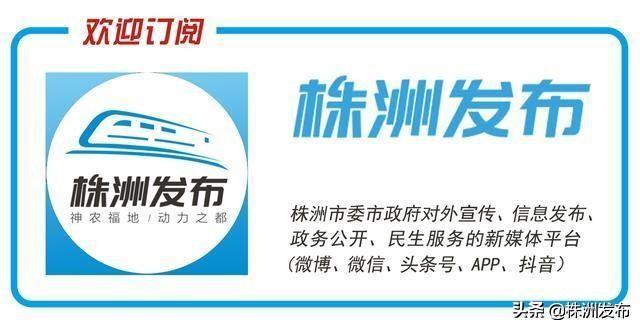 【你的育儿经】今年株洲将建成一批示范性婴幼儿照护服务机构，3岁以下婴幼儿也能送“园”