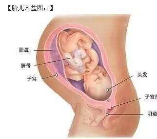 你的育儿经▲这位25岁的怀孕母亲在怀孕36周时越来越小，但是医生说：很好