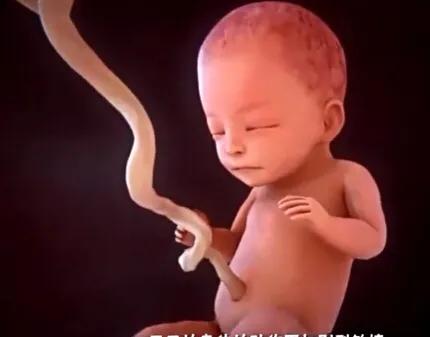 超级宝妈|孕妇必需营养素之一：叶酸，铁，钙，锌，科学补充，生个健康宝宝
