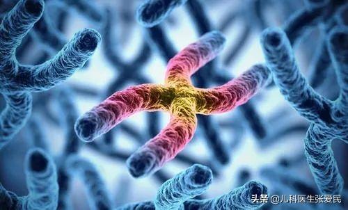 老鹰捉小鸡|刚出生宝宝黄疸诊为蚕豆病，这是咋回事呢？