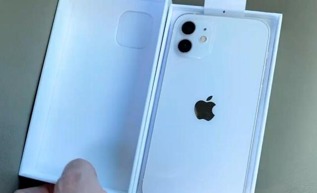 把iPhone12沉入湖底，半小时后它还活着吗？