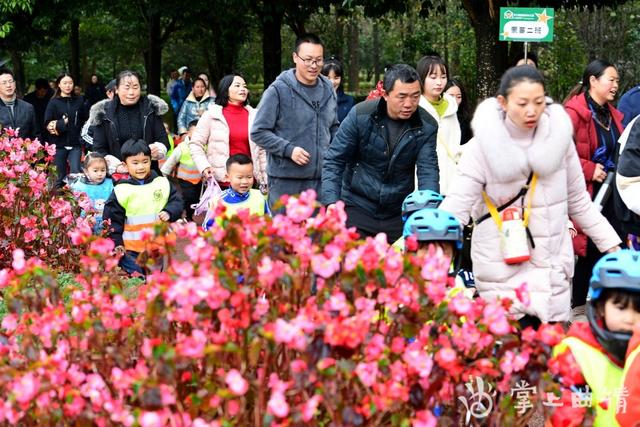 大手牵小手，罗平一幼儿园开展欢乐亲子跑主题活动