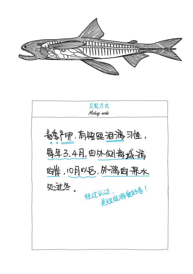 跟随古人《海错图》足迹，与“神婆”一起尝遍各地绝美鲜物