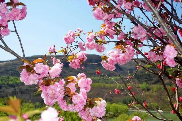「陌路远行」黄河小浪底水利枢纽风景区恢复开放
