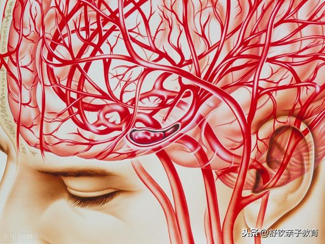 甜蜜妈妈|育儿系列知识：别忽视孩子的大脑健康（三）
