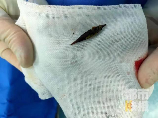 老太太|西安一老人睡觉时突然疼痛难忍，只因......医生：老人小孩需当心