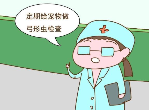 「超级宝妈」怀孕养猫会导致流产!真的要把“主子”送走吗?