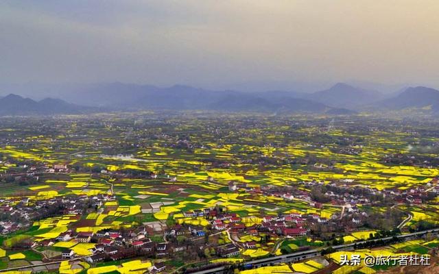 「约吗旅行」百万亩油菜花盛开，处处诗情画意，致最美的汉中油菜花