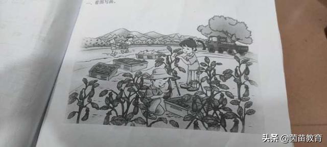 看图写话《秋天的菜园》《秋游》《游乐园》《四季》，附范文