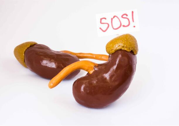 肾不好，这3个伤肾的习惯要纠正，养成两个好习惯，肾会感激你