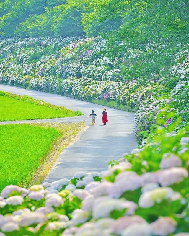 相亲相爱|暖心爸爸晒娃，却把孩子拍成宫崎骏动画，太治愈了