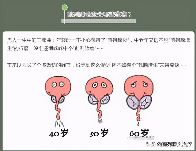 大会不发言，小会不发言，就前列腺发炎