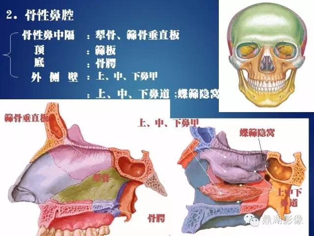 WoW，最全神经系统解剖图来了