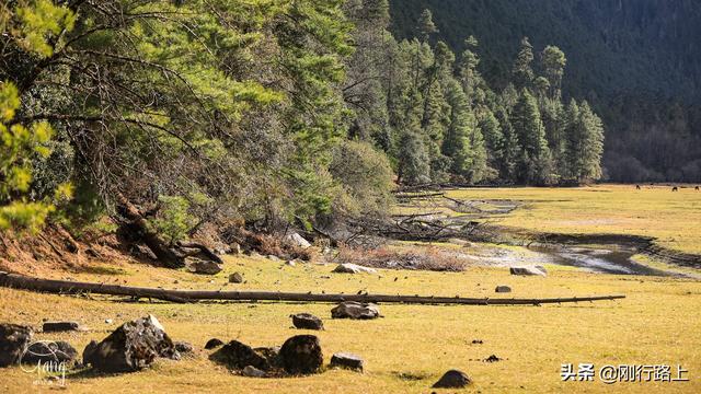 「旅行柚子君」镶嵌在高山森林之中的绿色宝石,这就是草湖