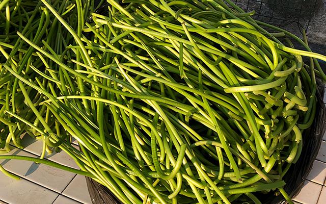 不起眼的红薯藤别扔掉，拿来炖红烧肉，口味独特，软烂入味很好吃