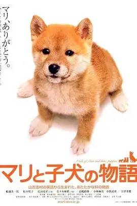 『暖先生格调』宅家期间，这42部好电影值得带孩子看一看！