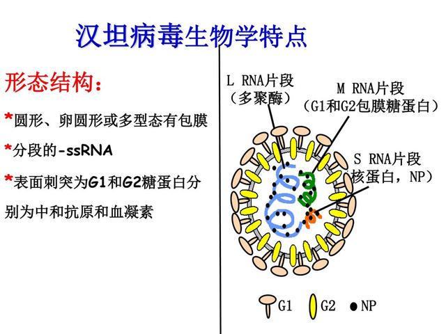 一男子高烧以为是新冠，却没想到是这个病！罪魁祸首是一罐装饮料