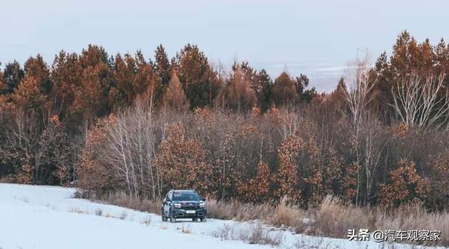 东风雪铁龙又双叒叕来踢馆了，天逸勇夺CCPC冰雪挑战双冠王