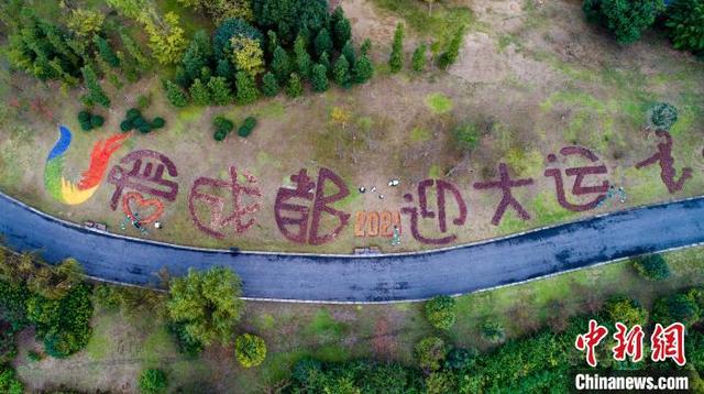成都环卫工人用落叶在公园摆出"大运会"主题画作