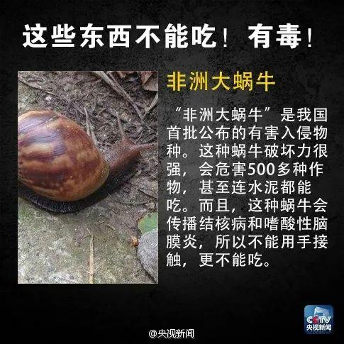 葫芦|警惕！这种家常菜一旦发苦，赶紧扔掉