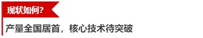 产量连续三年全国第一，广东如何竞逐“造车”新赛道？|微报告