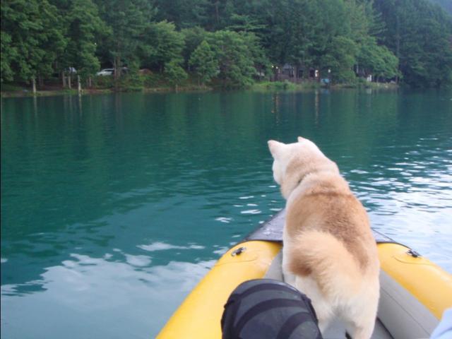 也曾经跨过山和大海，还有河流