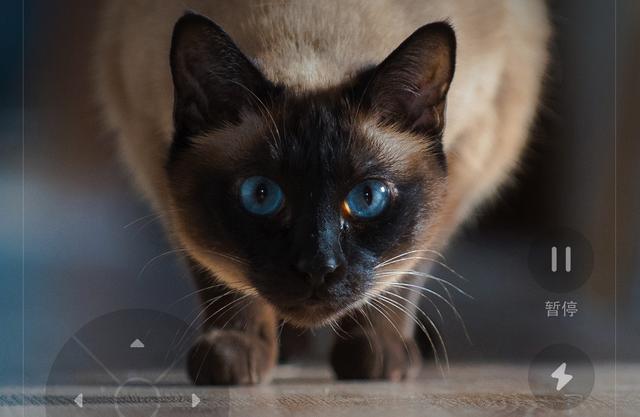 都叫 T7 该买谁？石头扫地机器人T7、T7 Pro对比分析