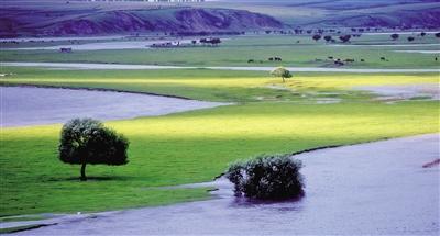 「约吗旅行」静谧的草原