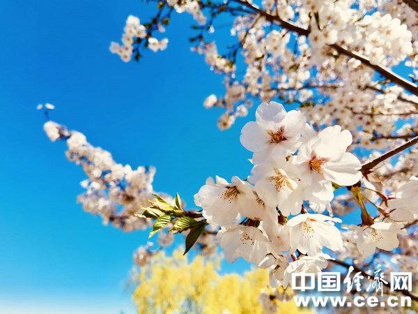 一年之际在于春 春季养生多吃8种食物