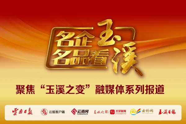 玉溪|名企名品看玉溪｜沃森：“我们的梦想在这里实现”