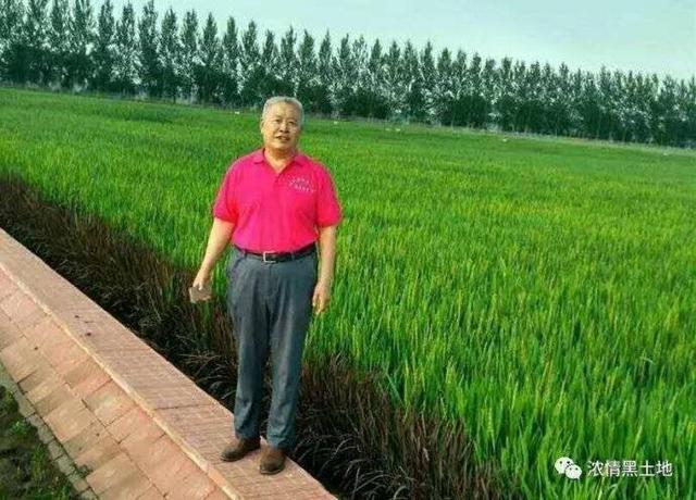 香喷喷的猪蛋酱