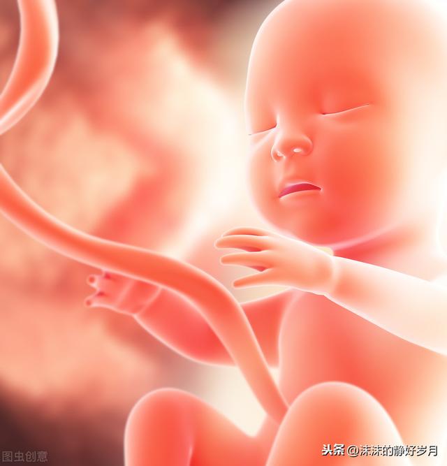 思念淡如水|孕妈妈常摸肚子，会导致胎宝宝脐绕颈？还是听听专家的解释吧