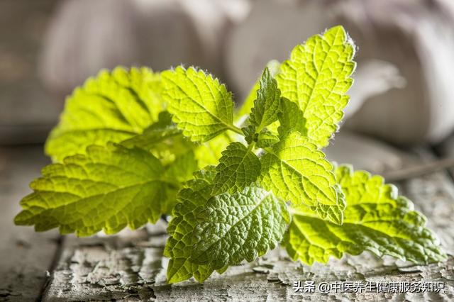 “薄荷”的功效及其应用