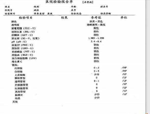 “血、尿、便”三大常规史上最全解读