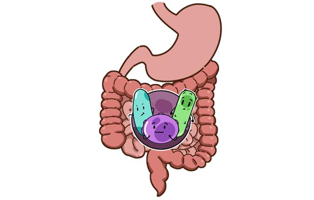 人体内有数以亿计的细菌，对健康有何影响？不仅是调血脂、控血糖