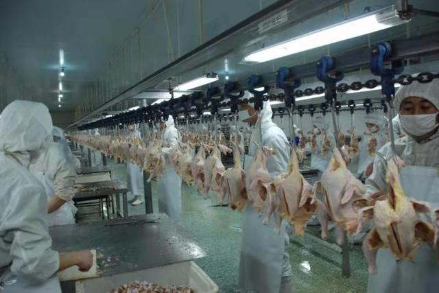 企业|“成绩单”出炉！2020年诸城工业高质量发展，逆势上扬