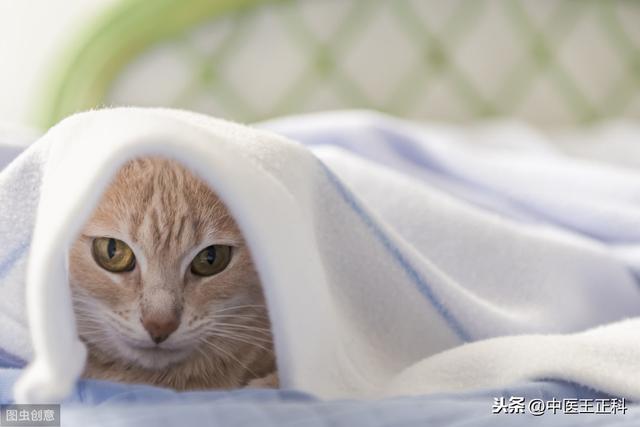 超级宝妈|顶级月子中心专家解读：月子里洗头洗澡三前提五注意