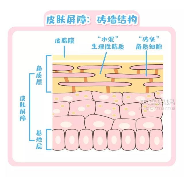 【你的育儿经】宝宝面霜上有这几个字，就别给孩子用了