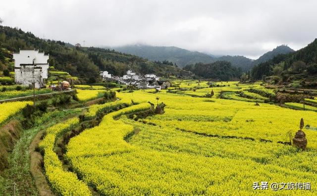 【世界那么大】婺源花艳、景美、人少