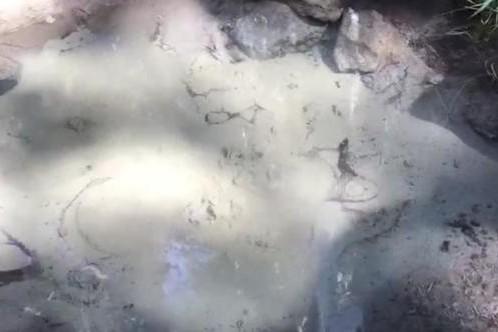 玩乐足迹@喀纳斯你真的去过么?确定不是路过!