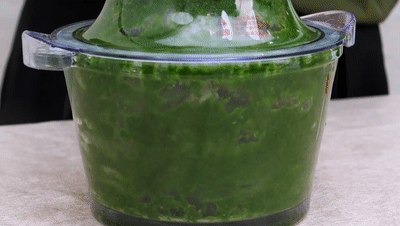 艾草|清明前后，“草中钻石”要常吃！祛除寒湿、健脾胃，胜过芹菜菠菜