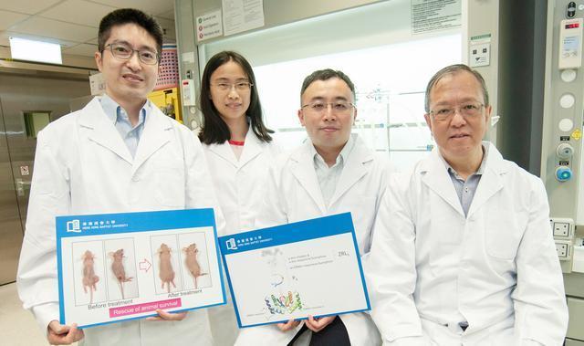 香港浸会大学最新研究：孕妇接触全氟物质会降低胎儿体重